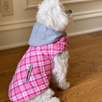 Weekender Dog Sweatshirt Hoodie Pink & White Plaid