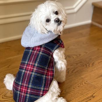 Weekender Dog Sweatshirt Hoodie - Red & Black Plaid Flannel DD78574