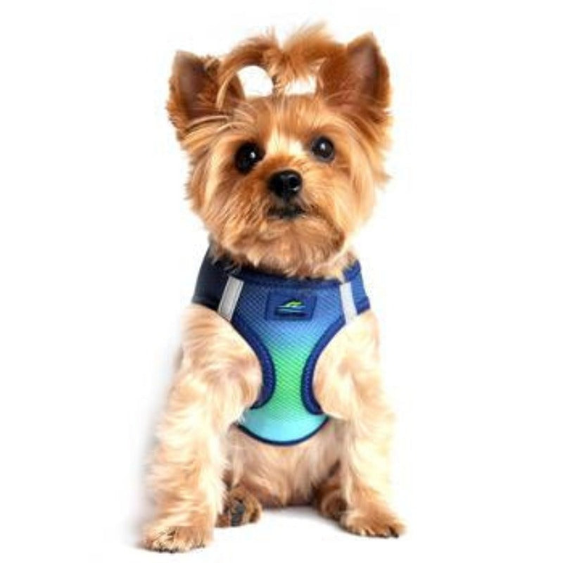 American River Choke Free Dog Harness Ombre Collection - Northern Lights By Doggie Design