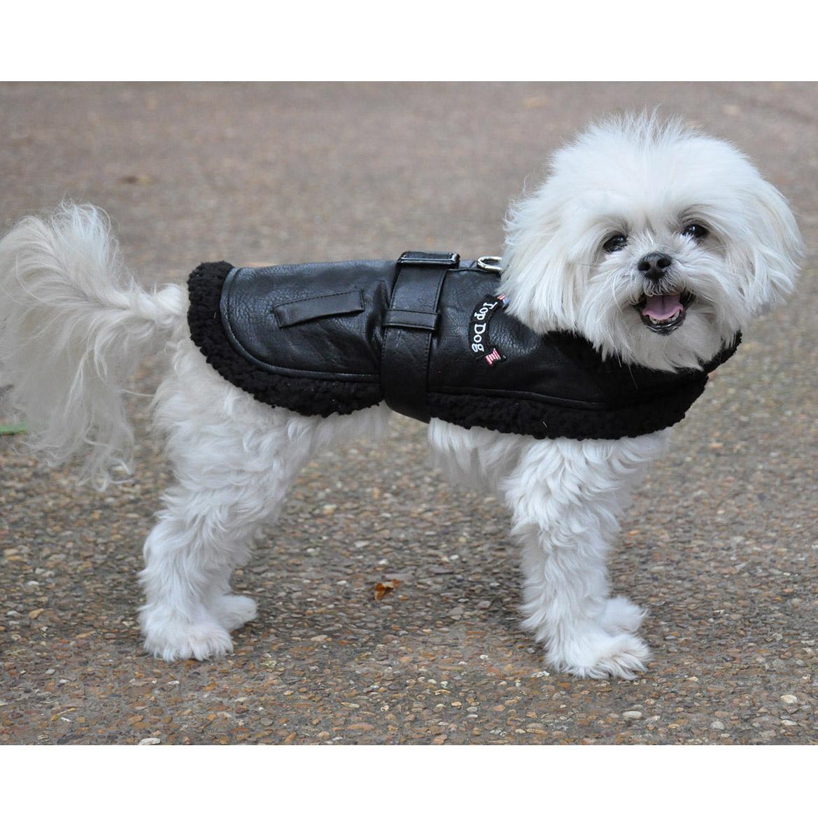 Top Dog Flight Harness Coat by Doggie Design - Black-71949