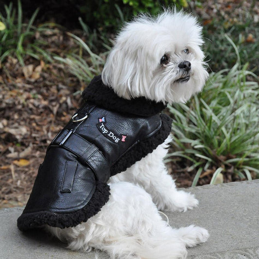 Top Dog Flight Harness Coat by Doggie Design - Black-71949