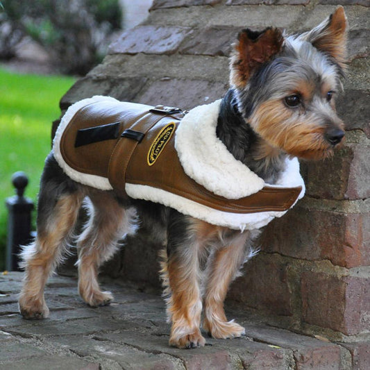 Brown  Faux Leather Bomber Dog Coat Harness and Leash-56690