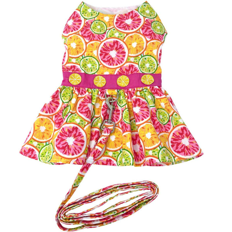 Doggie Design Citrus Slice Dog Dress with Matching Leash