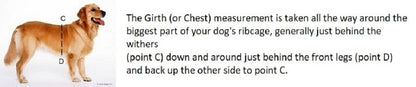 American River Ultra Choke-Free Mesh Dog Harness by Doggie Design- Teal-66869