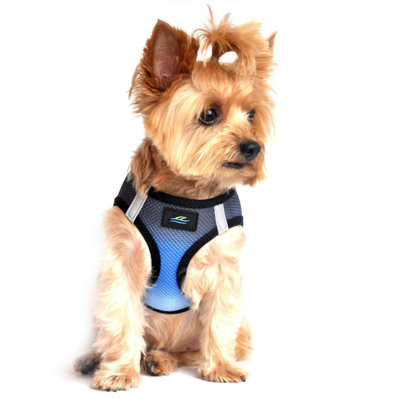 American River Choke Free Dog Harness Ombre Collection Midnight Sky 60958