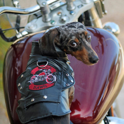 Biker Dawg Motorcycle Jacket