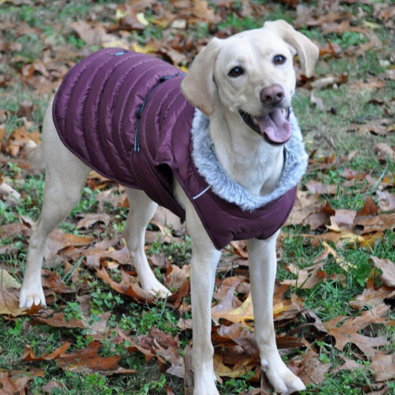 Doggie Design Alpine Extreme Weather Puffer Dog Coat Burgundy 68222