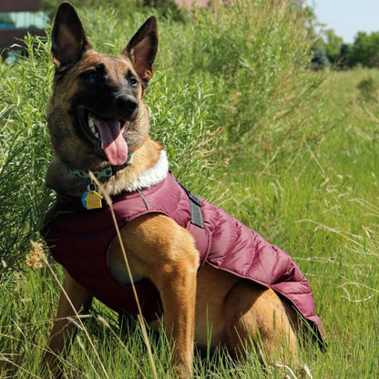 Doggie Design Alpine Extreme Weather Puffer Dog Coat Burgundy 68222