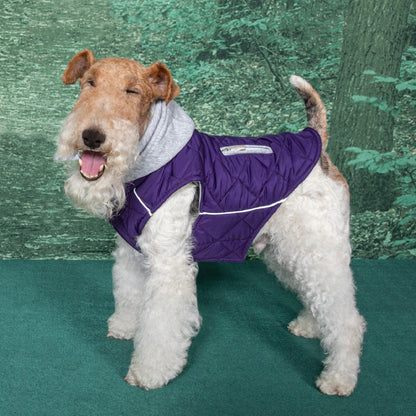 Weekender Dog Sweatshirt Hoodie - Purple 78533