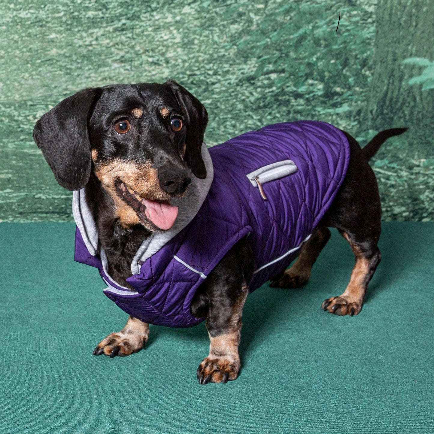 Weekender Dog Sweatshirt Hoodie - Purple 78533